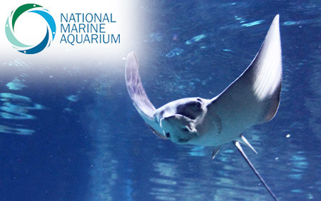 National Marine Aquarium