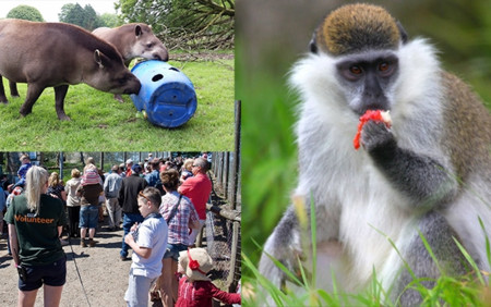 Dartmoor Zoo