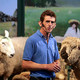 the-big-sheep