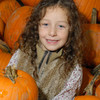 >The Big Sheep Halloween