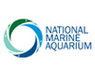 National Marine Aquarium